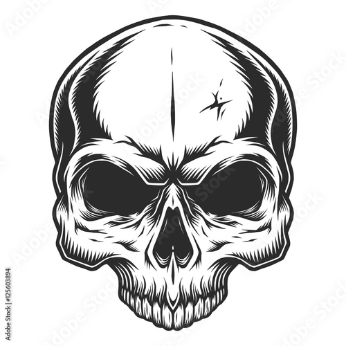 Monochrome illustration of skull without jaw. On white background