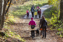 Group Of People Walking By Hiking Trail