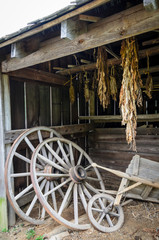 Wall Mural - George Washington Birthplace National Monument