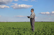 © sima - Farmer or agronomist in clover field examine plant using tablet