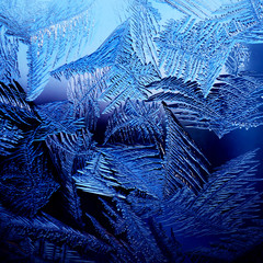 Wall Mural - Winter ice background