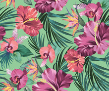Hibiscus Vector Pattern With Amazing Flowers