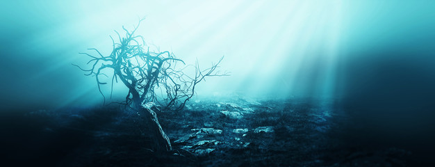 Wall Mural - Horror Spooky Tree Dark Night .