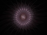 Fototapeta Dmuchawce - abstract fluffy fractal flower computer generated image, background for text labels