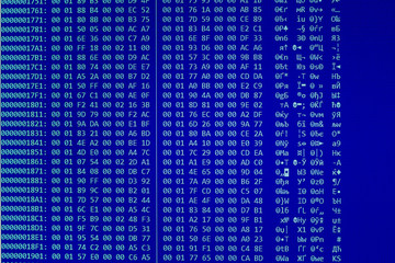 data dump