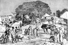 A Boar Hunt In Bengal. The Start Of Camp, Vintage Engraving.