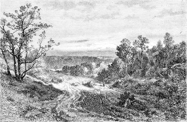 Wall Mural - 1852 exhibition of painting, landscape, vintage engraving.