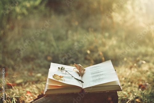 Cuadros en Lienzo Vintage book of poetry outdoors