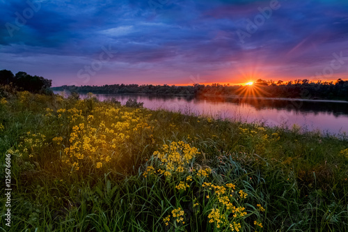 Summer sunset landscape with a river and yellow flowers Poster