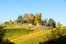 Vineyards - Beautiful Landscape Of Wine Region