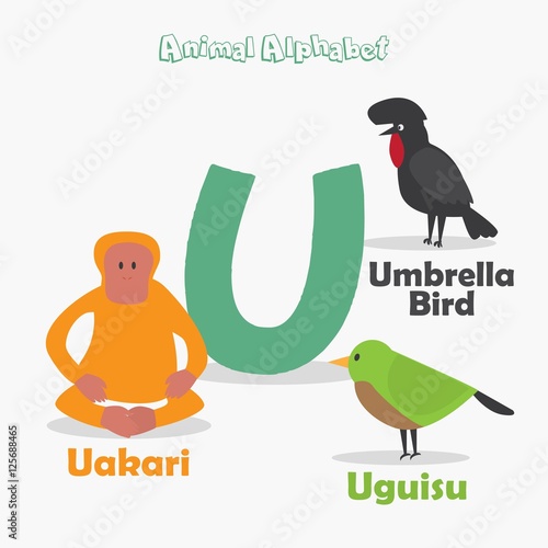 What Is A Animal Name That Starts With U - Animal West