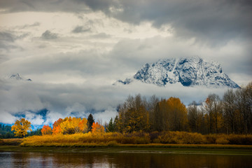 Wall Mural - Grand Teton National Park Fall Colors