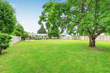 Large spacious backyard area, filled with green grass