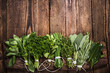 Herbs on wooden table,copy space