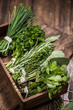 fresh aromatic herbs on kitchen table