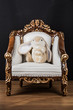 Easter bunny on white armchair / throne