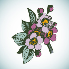 Wall Mural - Cherry branches with flowers, sakura vector illustration