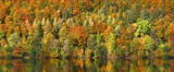  Autumn forest by the lake