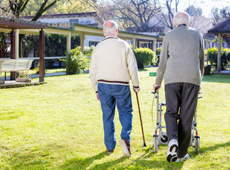 Poster - Pensioner friends with handicap walking outdoor in garden, back