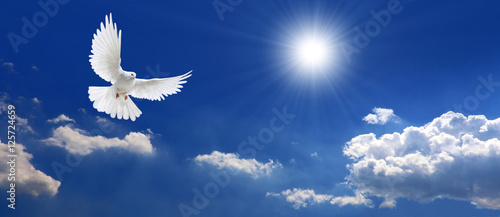 Fotomural Frieden Taube mit Wolken und Sonne