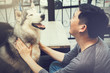 Young Asian male dog owner playing and touching the happy Husky Siberian dog pet with love and care