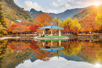 Naejangsan National Park in Autumn,South Korea