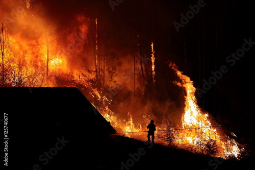 Plakat Las płonie blisko domów, sylwetka strażaka