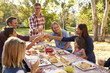 © Monkey Business - Two families making a toast at picnic at a table in a park