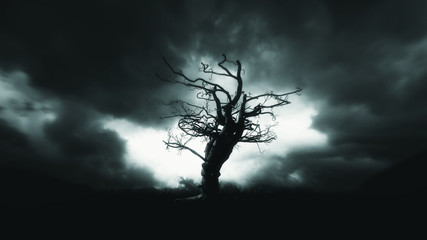 Wall Mural -  Dark Horror Spooky tree. Halloween Dark Night Background.