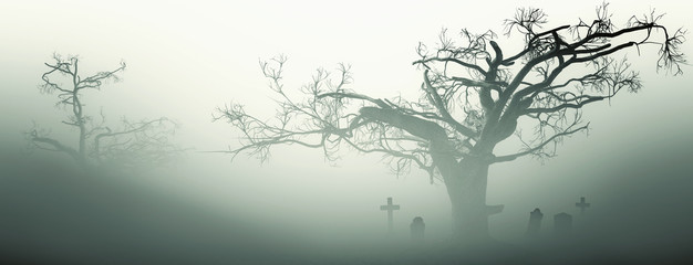 Wall Mural -  Horror Spooky Tree Dark Night .