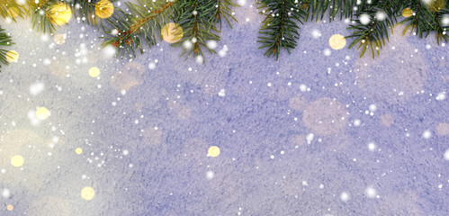 Wall Mural - christmas card or new year snowy glittering background with fir-tree branches