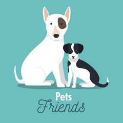 Wall Mural - pet friends doggys animal graphic vector illustration eps 10