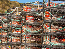 Crab Pots Stacked Beside The Dock Waiting For The Season To Open. Bodega Bay, California