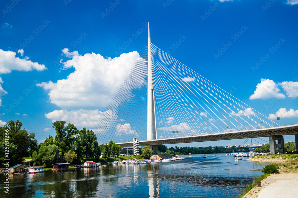 Obraz na płótnie The Ada Bridge or alternatively Sava Bridge - a cable-stayed bridge over the Sava river in Belgrade, Serbia w salonie