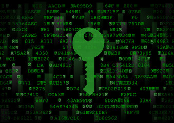 it is a symbol of a digital key. this is a computer security theme.