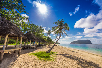 Wall Mural - tropical beach with a coconut palm trees and a beach fales, samo
