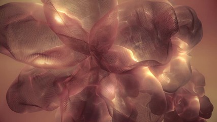 Organic Flowery Mesh. TAO orange background. Looped video