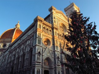 Wall Mural - Christmas in Florence, Christmas tree in Piazza del Duomo in Florence with the Cathedral in the background