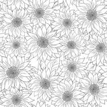 Hand Drawn Pattern Sunflowers Background. Flower Black White. Packaging Products