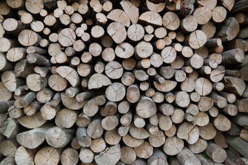 Firewood. Dry firewood in a pile for furnace kindling