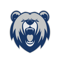 bear head mascot