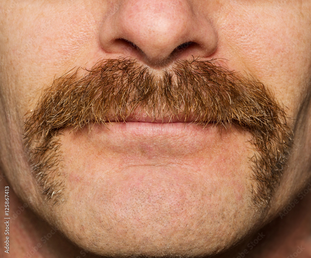 Movember Mustache - obrazy, fototapety, plakaty 