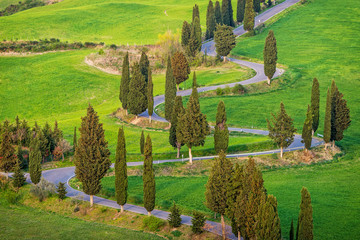 Fototapete - Tuscany Landscape Italy