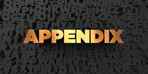 Appendix - Gold text on black background - 3D rendered royalty free stock picture. This image can be used for an online website banner ad or a print postcard.