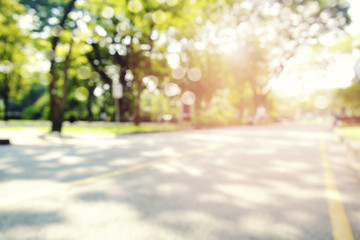 defocused bokeh background of  garden trees in sunny day