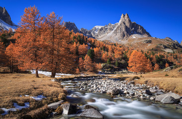Poster - The river Claree and Larch trees in Vallee de la Claree during a clear day in autumn.