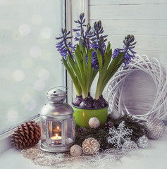 Winter window with hyacinth. Tonal stylisation