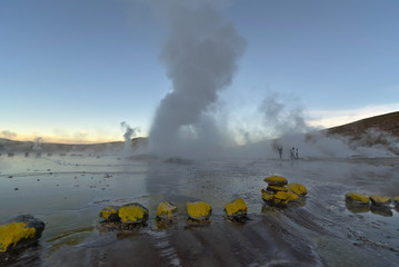 Geysers vapor columns at sunrise.