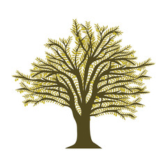 Sticker - green olive oil tree icon over white background. vector illustration