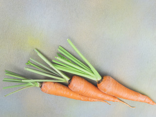 Fresh carrot